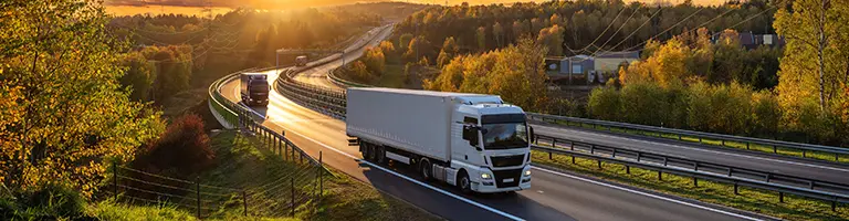 Delivery Truck on Freeway